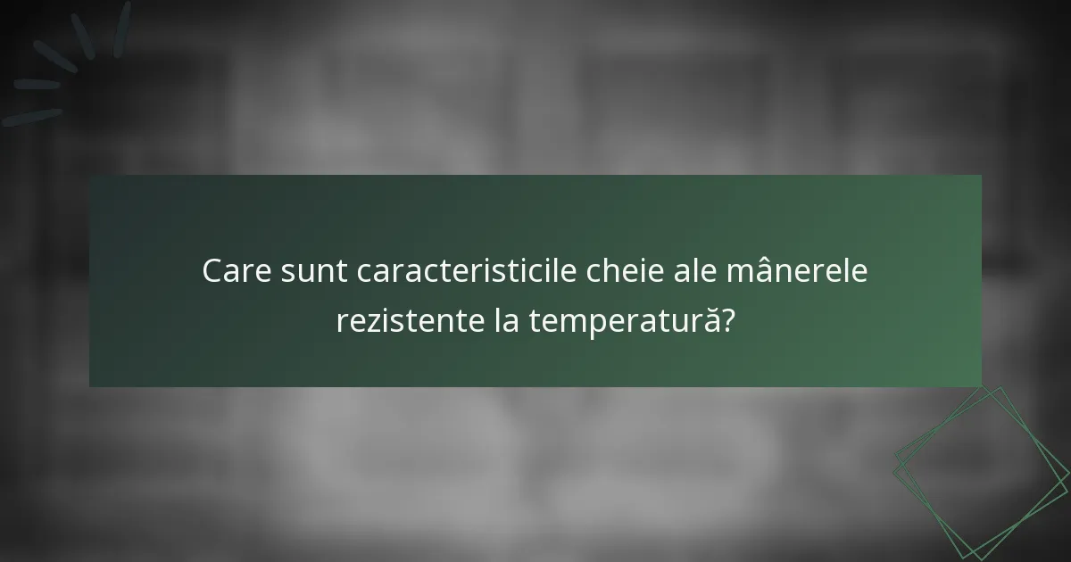 Care sunt caracteristicile cheie ale mânerele rezistente la temperatură?