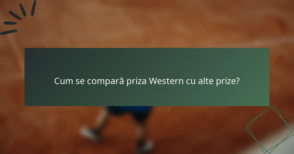 Cum se compară priza Western cu alte prize?
