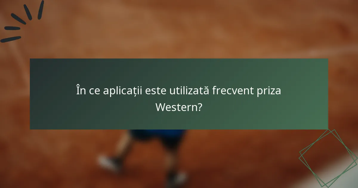 În ce aplicații este utilizată frecvent priza Western?